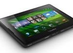 Blackberry Playbook